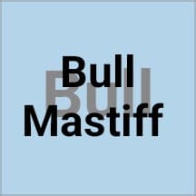 Bull Mastiff Base