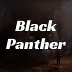 The Black Panther Program