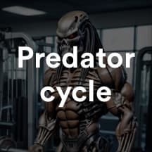 Predator Cycle