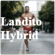 Landito Hybrid Training