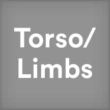 Torso/Limbs Split