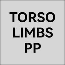 Torso,limbs,P&P By FisH