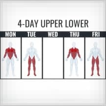 Science Based Ideal Upper Lower 4 Day Split