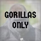 Gorillas only