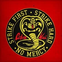 Cobra Kai Conditioning