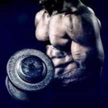 bodybuilding  4 day workout plan