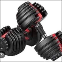 Full-body Dumbbells Only Hypertrophy/Aesthetics