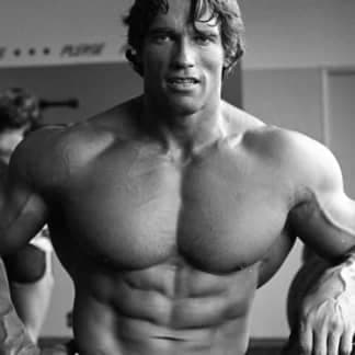 Arnold Schwarzenegger Volume Workout - Variation 1